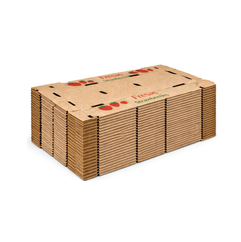 Caja fresa  48.8x40.2x9.0